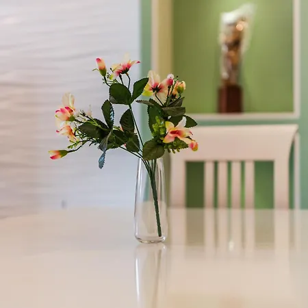 Apartment Belleview 3
